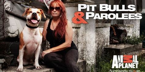moviesjoy pit bulls and parolees|‘Pit Bulls and Parolees’ to End With Season 19 .